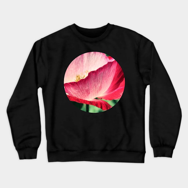 Red Poppy in Sunlight Crewneck Sweatshirt by micklyn